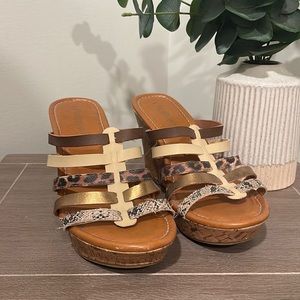 These are sure to bring out the lioness in you 🦁